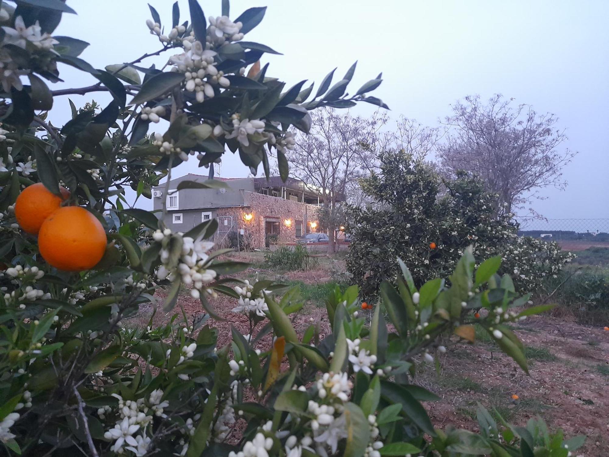 Hostal Entreolivos Бадахос Екстериор снимка